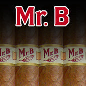 Mr B